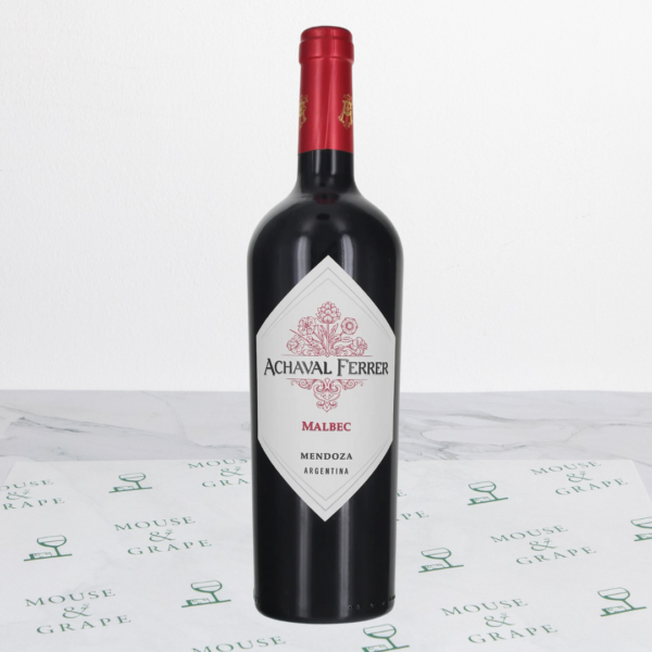Malbec 2022 Mendoza