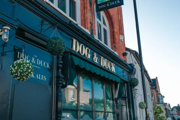 Dog & Duck - Guided Wine & Cheese Tasting Event - 22/05